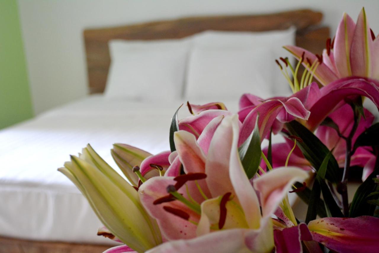 บูทิก โฮเต็ล ลาวิลลา Hotel ญาจาง ภายนอก รูปภาพ